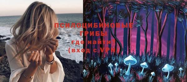 МДМА Карпинск