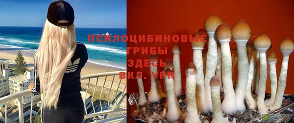 гашишное масло Карталы